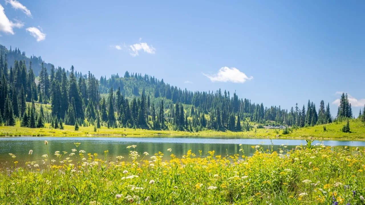 Alpine lake surrounded by evergreen ridges and wildflowers.