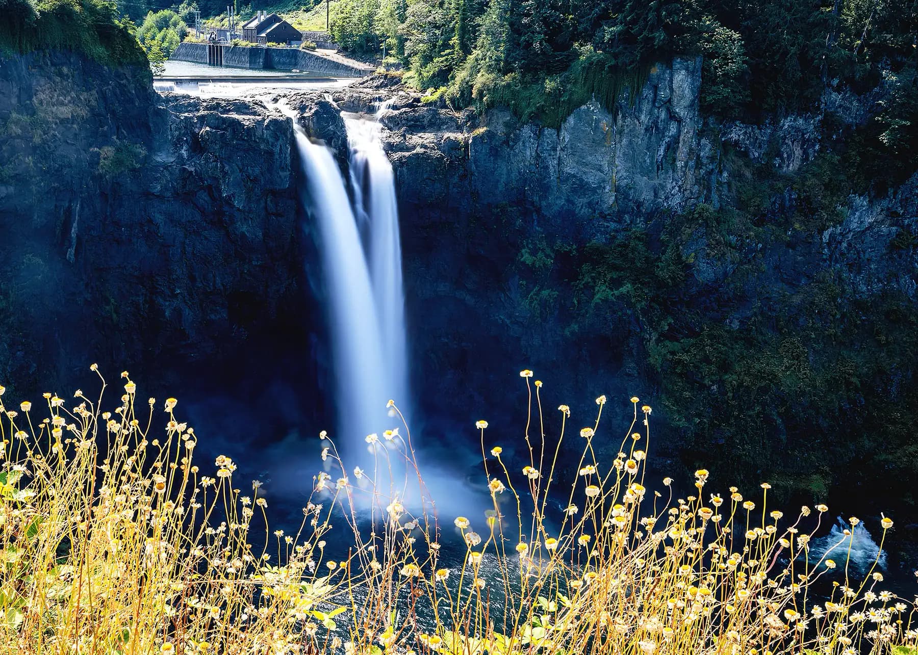 Waterfall descending through a forested Pacific Northwest gorge.