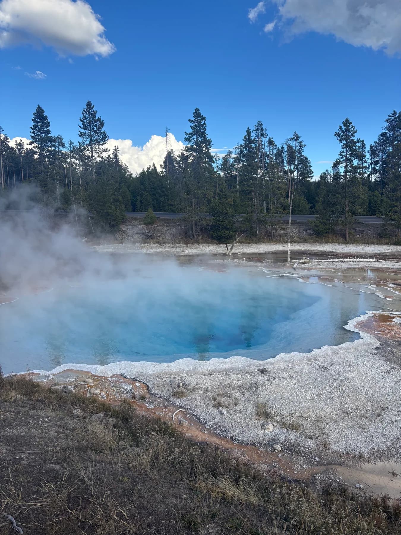 Blue geothermal spring bordered by mineral deposits and forest.
