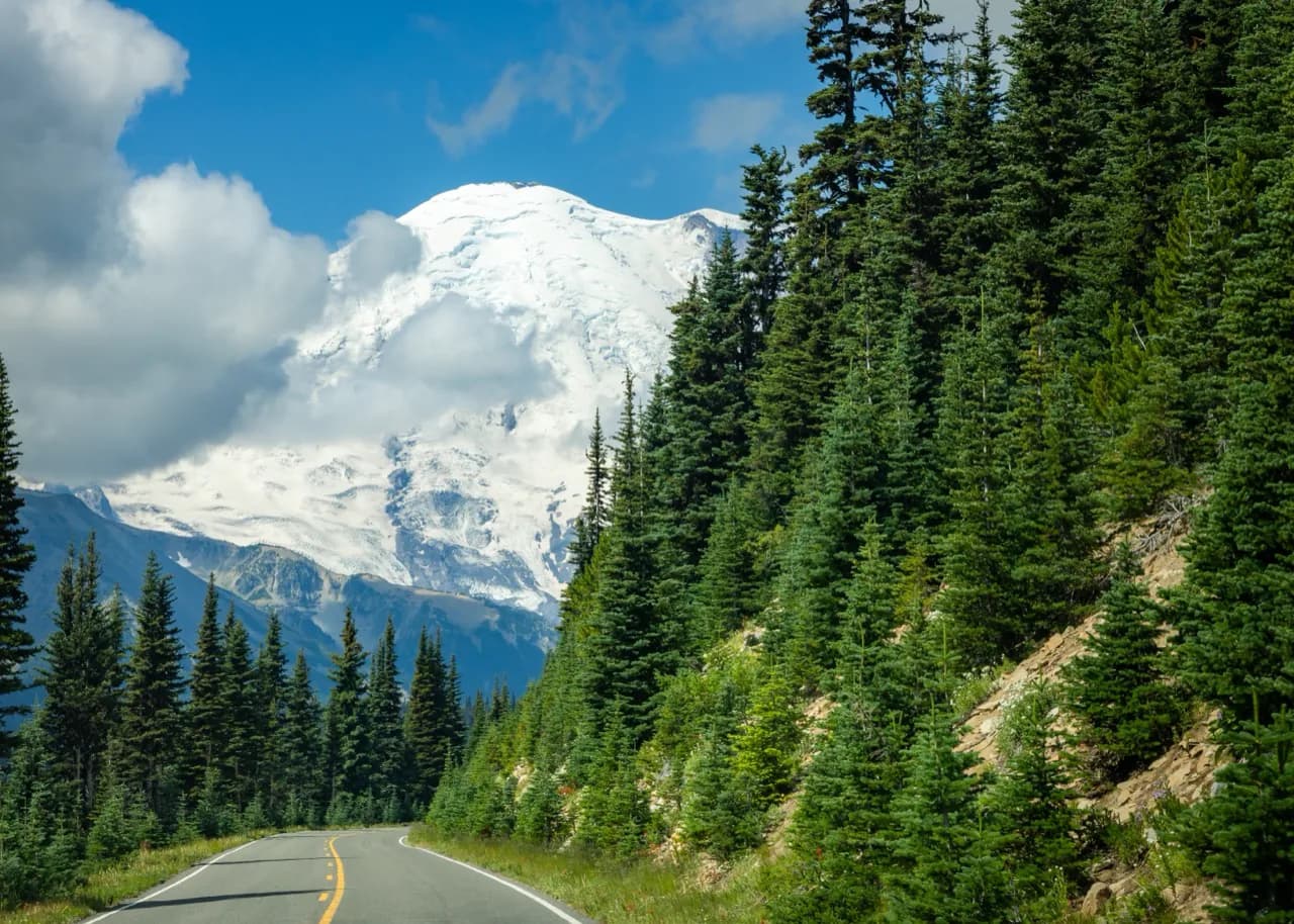 Road through evergreen forest approaching Mount Rainier.