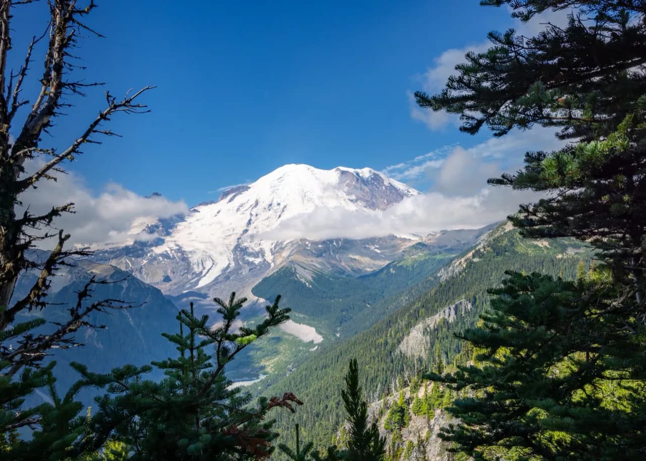 Mount Rainier viewed across a deep evergreen valley.