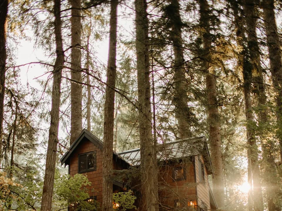Iron & Vine Treehouse at Mount Rainier in Ashford, Washington, United States