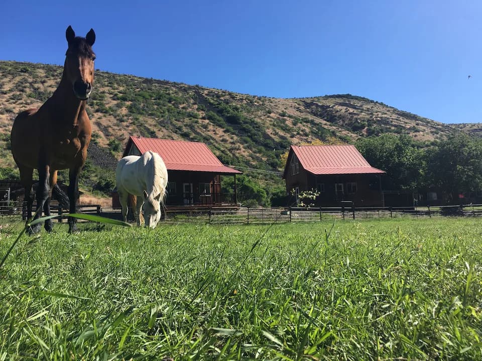 Elderberry Farm Cabins in Ellensburg, Washington, United States