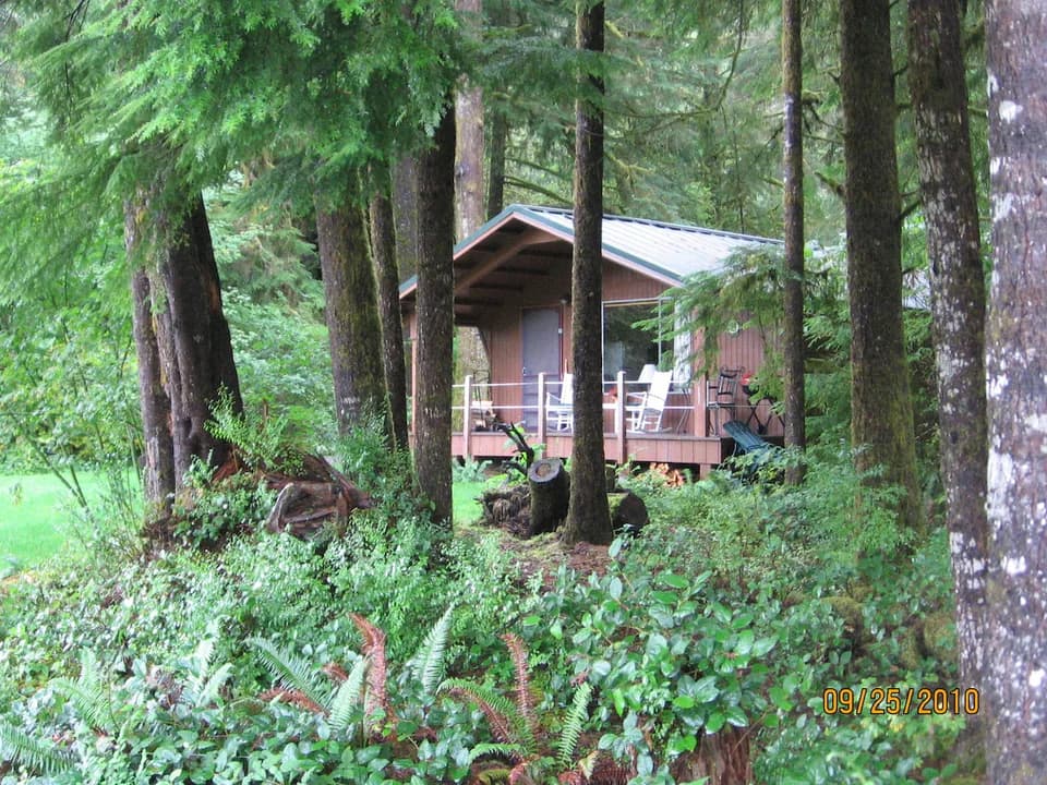 Cozy riverside/rain forest cabin ~ Bogie Bungalow in Forks, Washington, United States