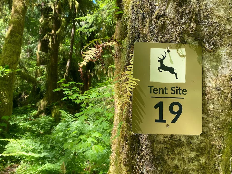 Primitive Tent Site in Enchanted Rain Forest - Sit in Forks, Washington, United States